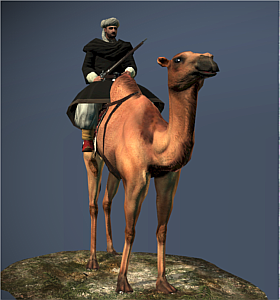 Camel Gunners
