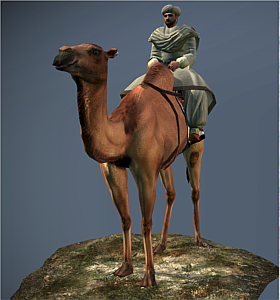 Camel Warriors