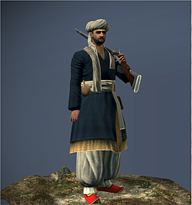 Palestinian Auxiliaries