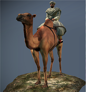 Camel Warriors