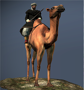 Camel Gunners