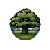Wisdom of the Oak