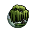 Wisdom of the Willow