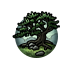 Wisdom of the Yew