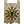 Grey Seer Clan